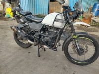 White Royal Enfield Himalayan