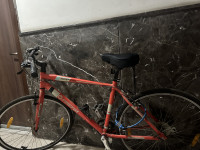 Bicycle Firefox 2022 Model