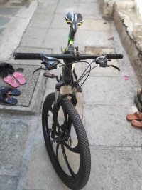 Bicycle Python Solid 2023 Model
