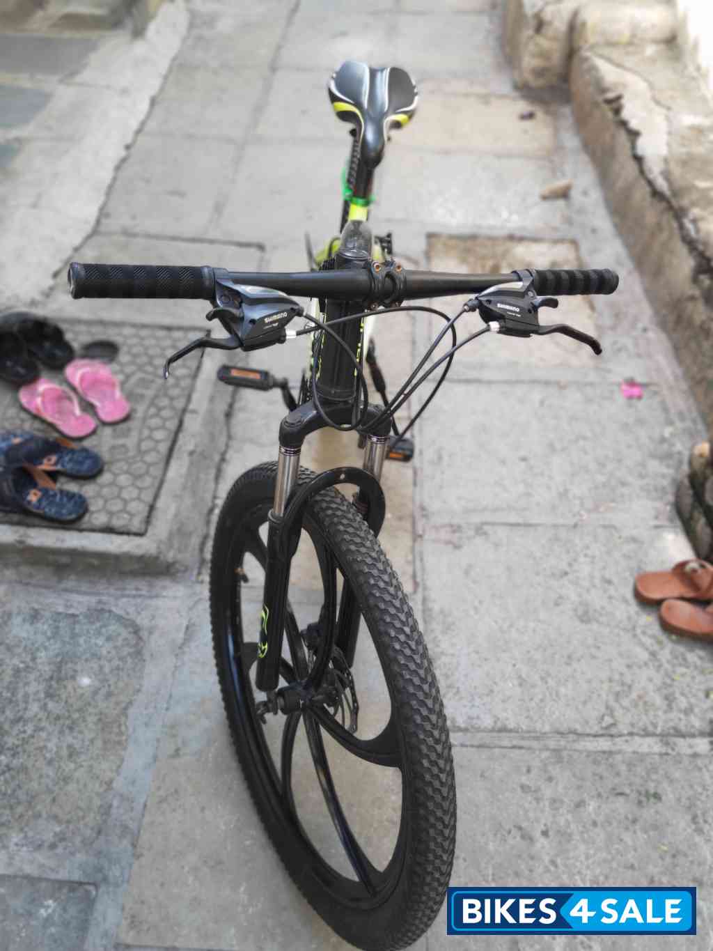 Bicycle Python Solid