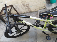 Bicycle Python Solid