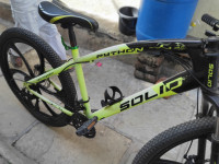 Bicycle Python Solid