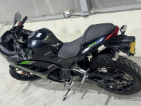 Ebony Black Kawasaki Ninja 300 BS6 2022