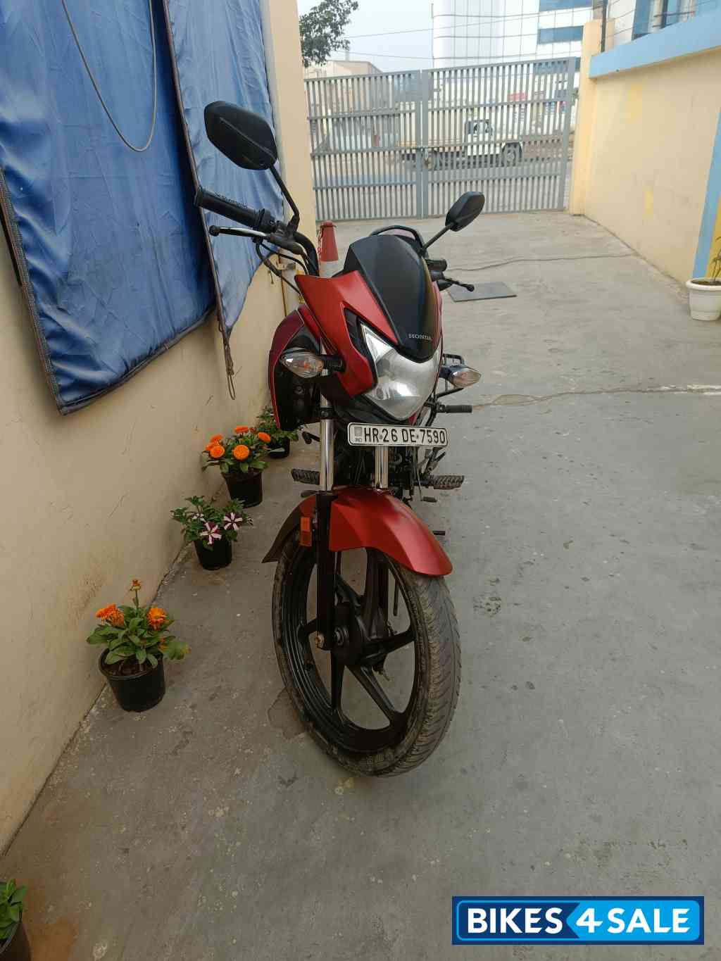 Honda Livo 110 Honda Livo 110