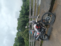 Hero Xpulse 200 4V Rally Edition 2023 Model