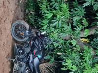 Bajaj Pulsar N250 Dual Channel ABS