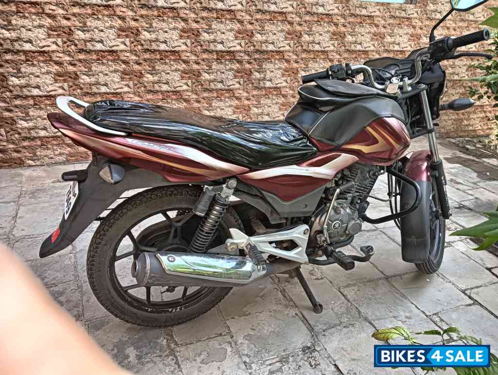 Red Wine Bajaj Discover 125M
