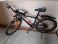 Ninety One Snow Leapord 2022 Model