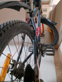 Ninety One Snow Leapord