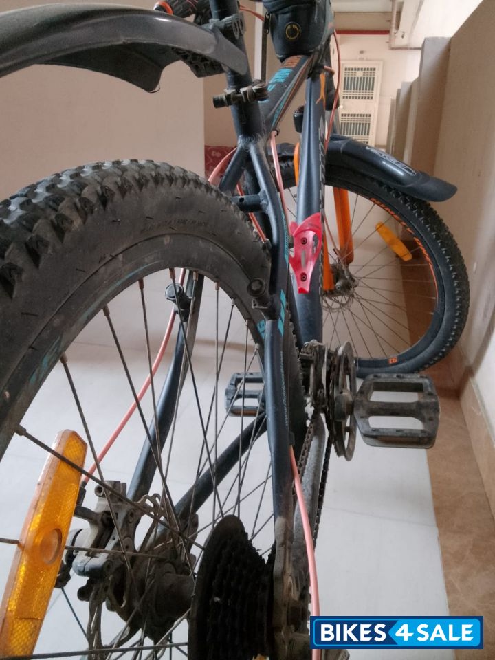 Ninety One Snow Leapord Ninety One Snow Leapord