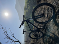 Bicycle  Psynyde Furan