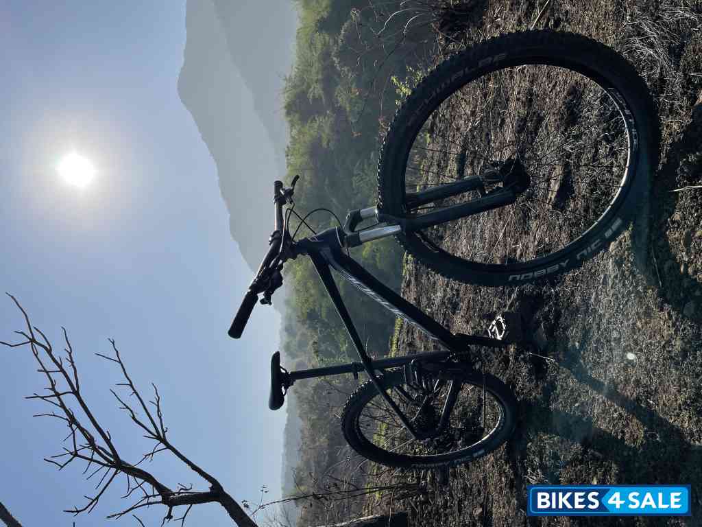 Bicycle  Psynyde Furan