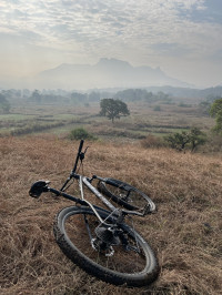 Bicycle  Psynyde Furan