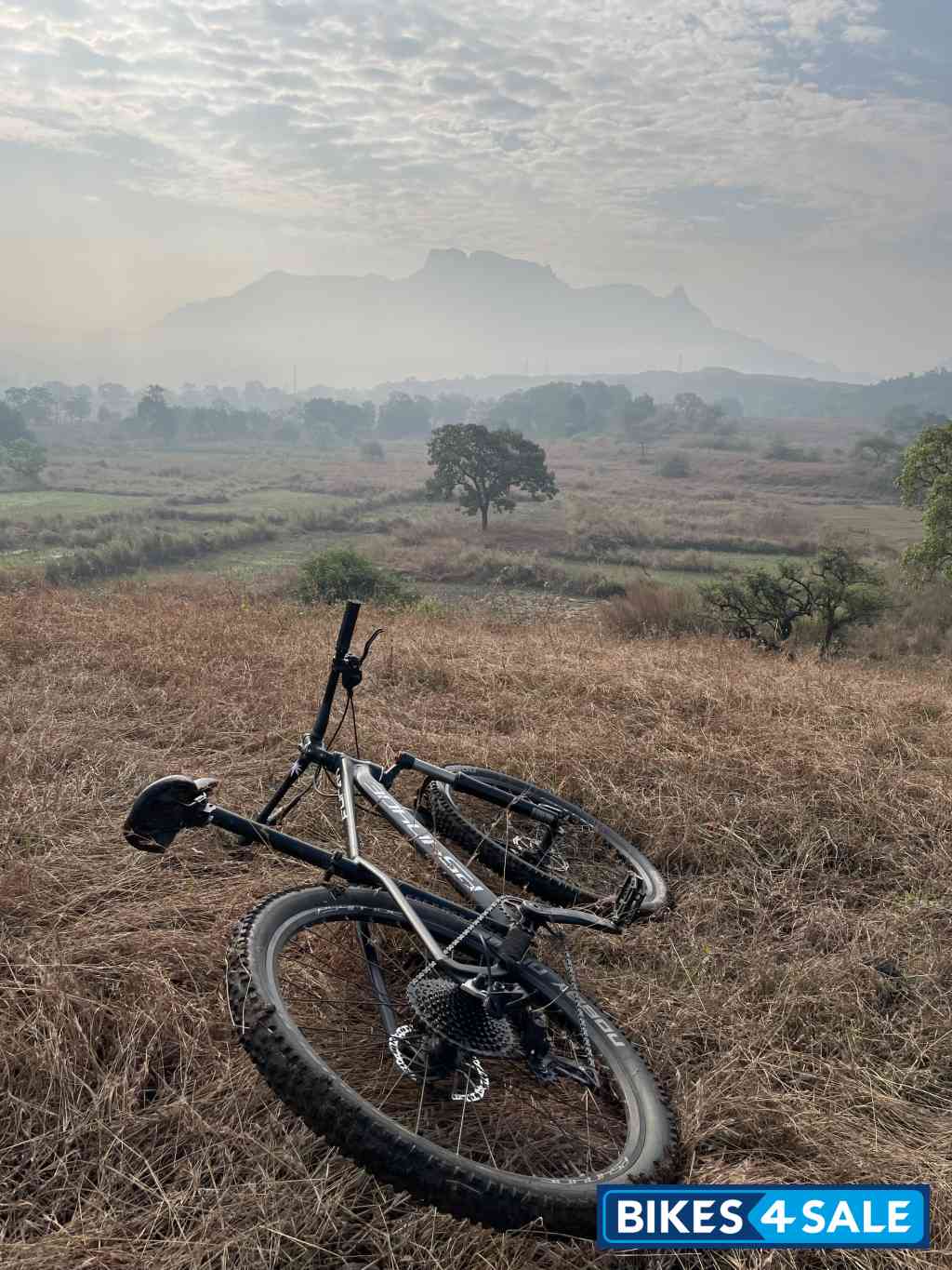 Bicycle  Psynyde Furan