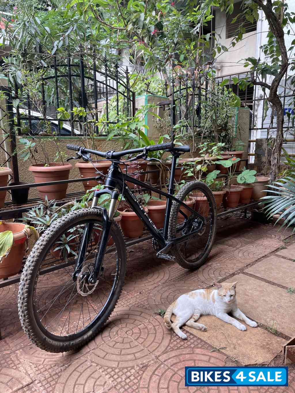 Bicycle  Psynyde Furan