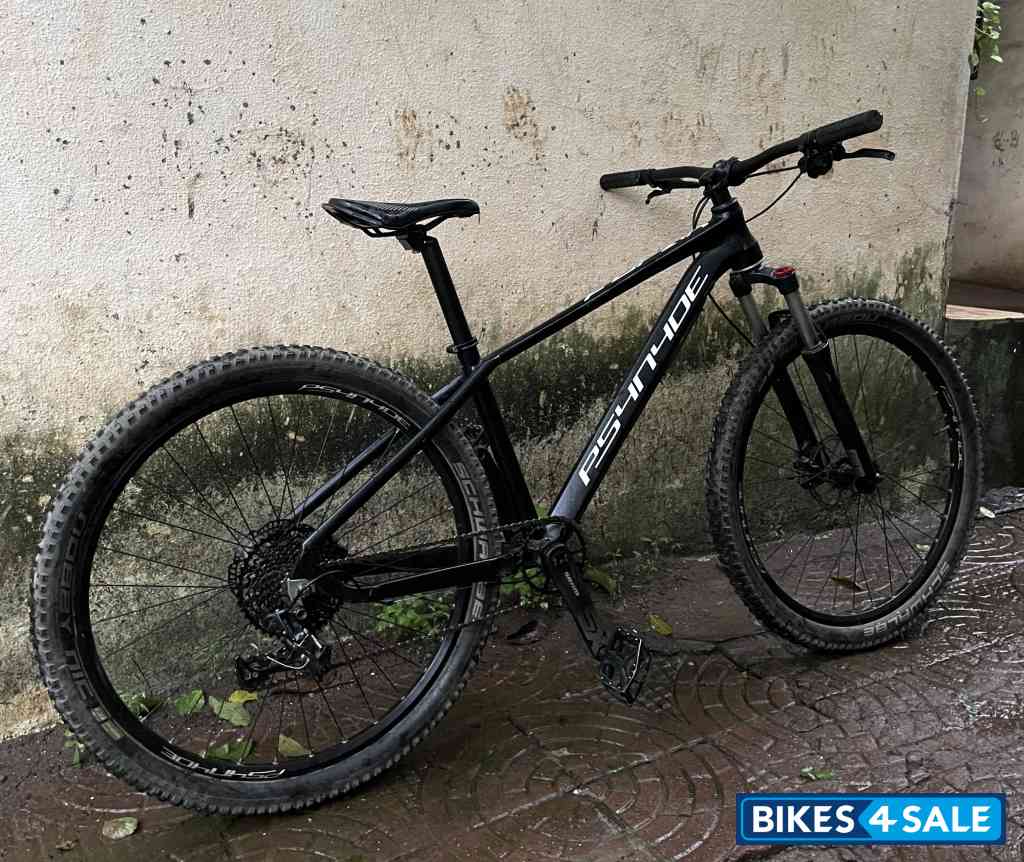 Bicycle  Psynyde Furan