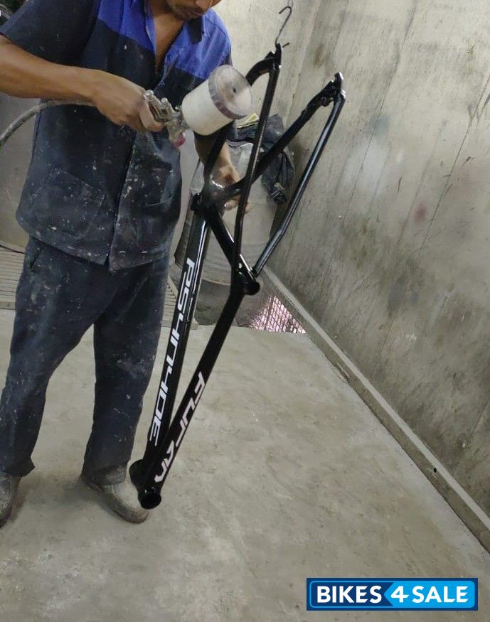 Bicycle  Psynyde Furan