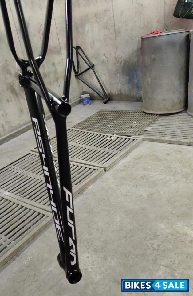 Bicycle  Psynyde Furan