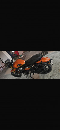 Dawn Orange TVS Ronin TD