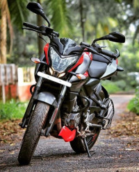 Passion Red Bajaj Pulsar NS200