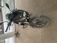 Bajaj Pulsar 125 Split Seat 2020 Model