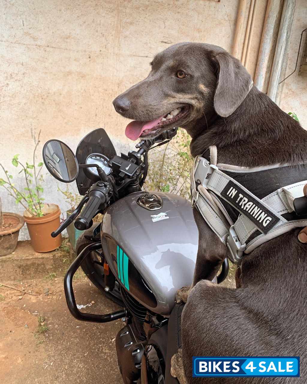 Dapper Grey Royal Enfield Hunter 350 Metro