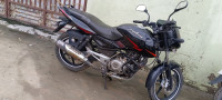 Dubal Tone Black An Red Bajaj Pulsar 150 DTSi