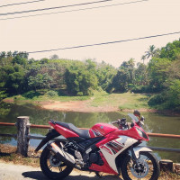 Red And White Yamaha YZF R15 S