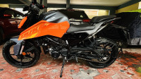 KTM Duke 250 2024