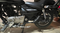 Bajaj Avenger Cruise 220