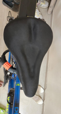 Bicycle Ninety ONE Defeatr Pro 29T 21