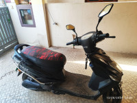 Black Benling Falcon