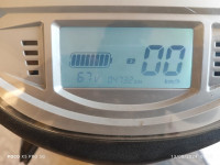 Black Benling Falcon