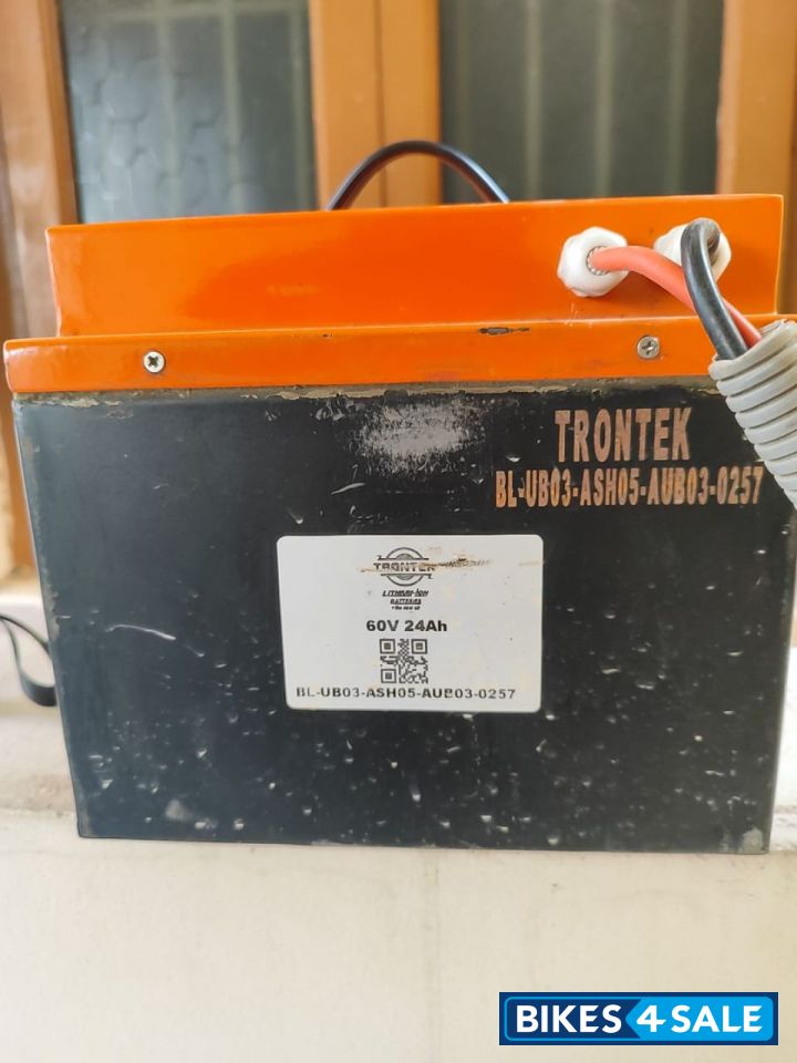 Black Benling Falcon Black Benling Falcon