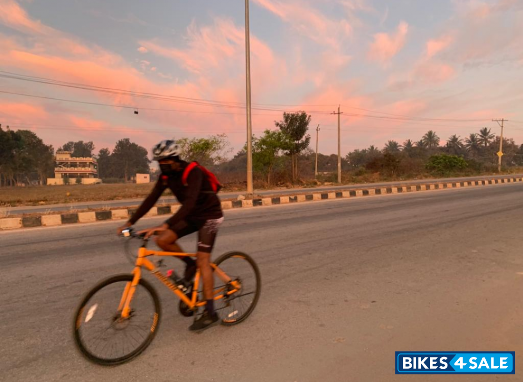 Papaya Bicycle Toronto