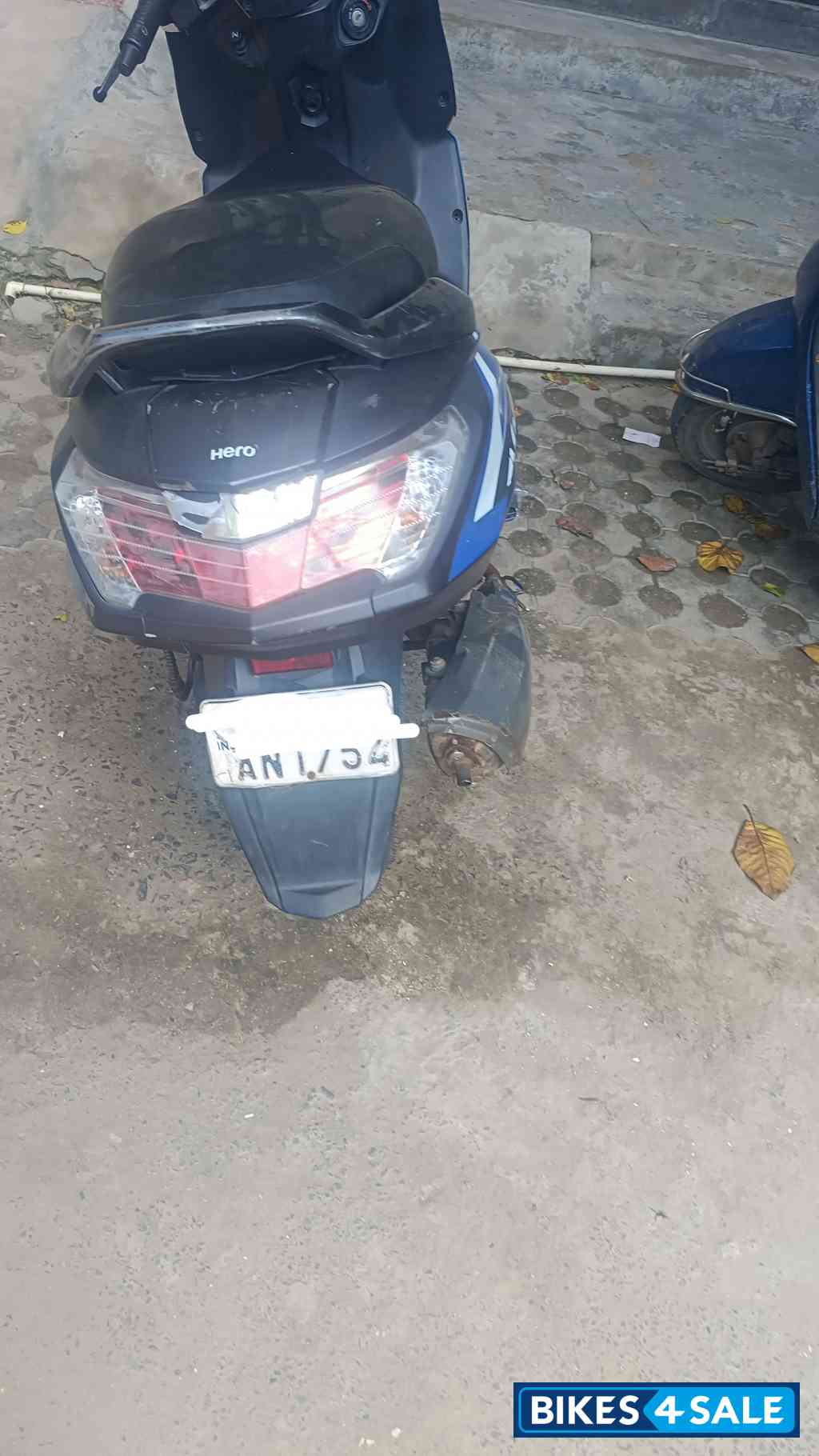 Blue Hero Maestro Edge