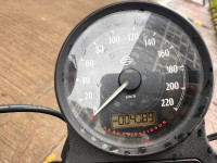 Black Denim Harley Davidson Iron 883