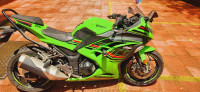 Lime Green Kawasaki Ninja 300 BS6 2023
