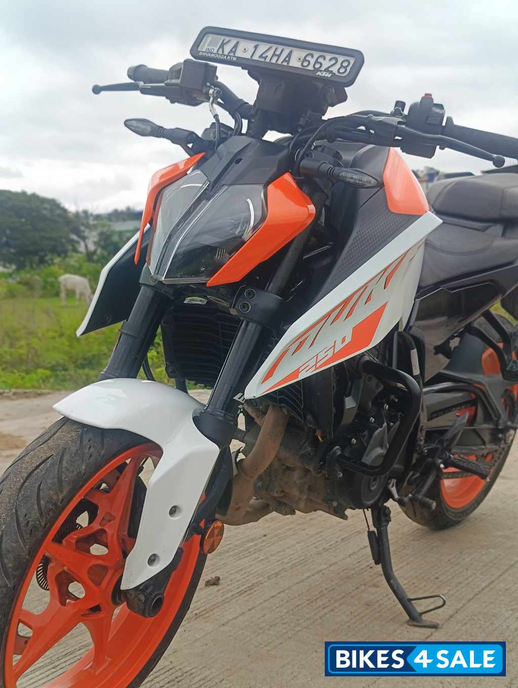 KTM Duke 250 2024