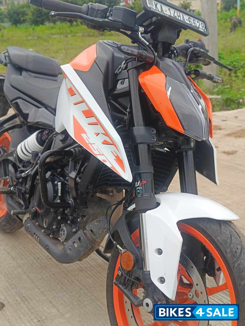 KTM Duke 250 2024