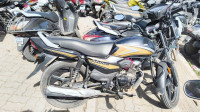 Golden Honda Shine 100