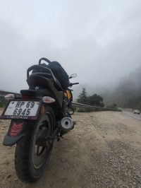 Fairy Yellow TVS Raider Split Seat