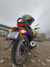 Fairy Yellow TVS Raider Split Seat