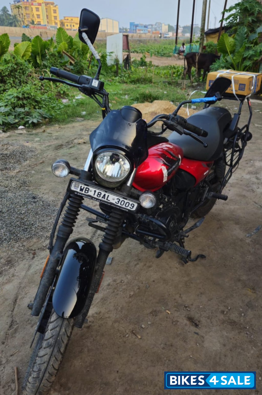 Wine Red Bajaj Avenger Street 160 BS6