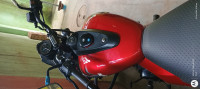 Wine Red Bajaj Avenger Street 160 BS6