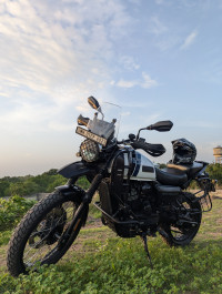 White Yezdi Adventure Gloss