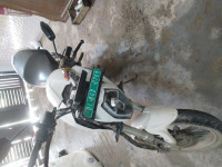 Mist Gray Revolt RV 400