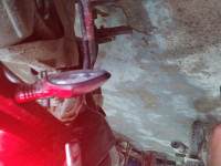 Mist Gray Revolt RV 400