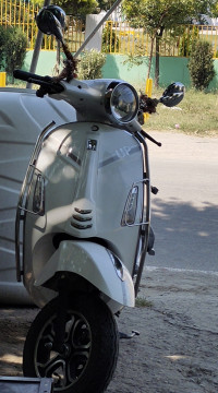 Dacus Austra 2023 Model