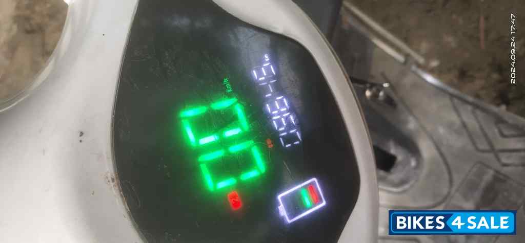 Dacus Austra Dacus Austra